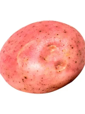Papa capira lavada R12 x libra