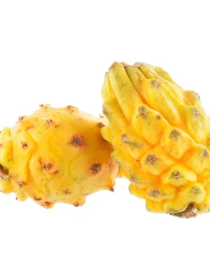 Pitahaya x libra