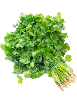 Cilantro x libra