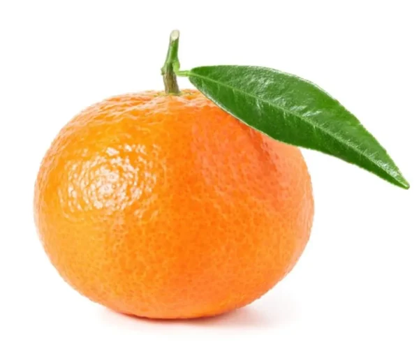 MANDARINA_AMMARKET.COM_1.jpg Mandarina x libra
