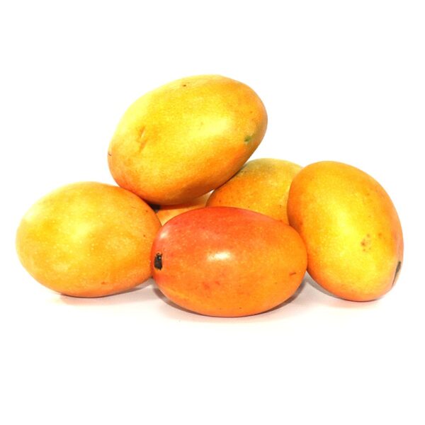 Mango de azúcar x libra