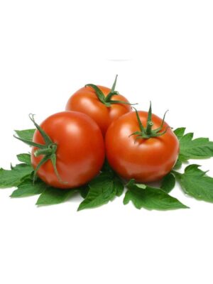 Tomate milano x libra