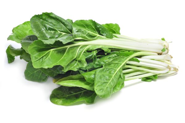 13272581 - chard leaves on a white background Acelga x libra
