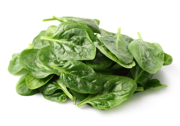 17030729 - heap of spinach leaves Espinaca x libra