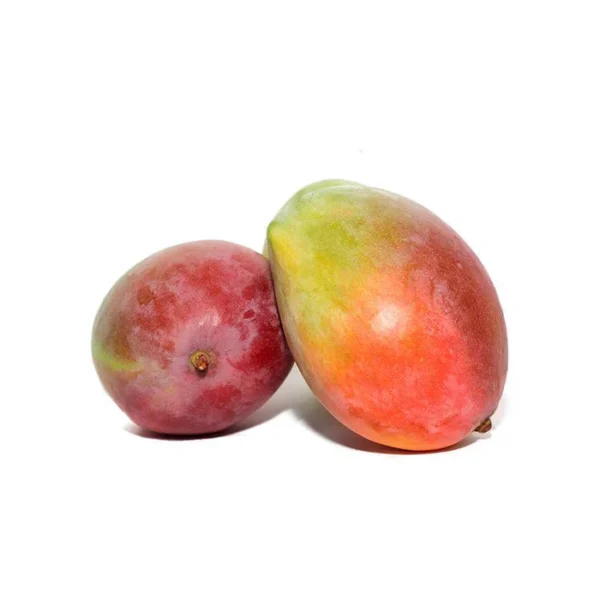 Mango tommy x libra