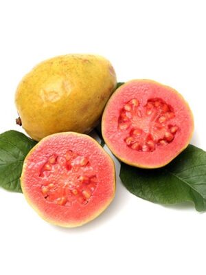 Guayaba x libra