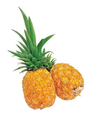 Piña oromiel x libra