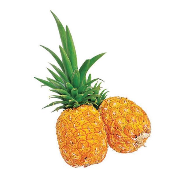 piña-oro-miel Piña oromiel x libra